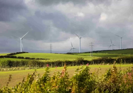 Zor ve uzun bir yolculuk: “Kamulaştırma”